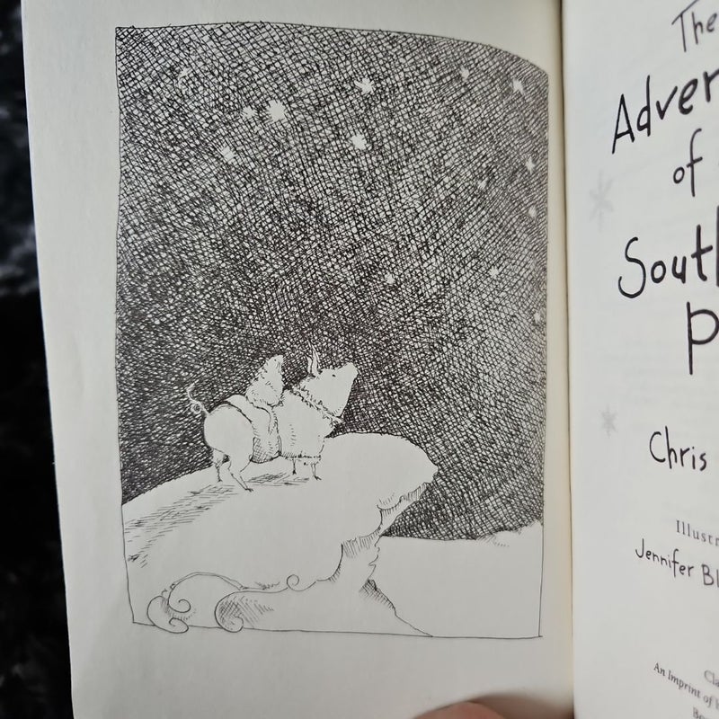 The Adventures of a South Pole Pig