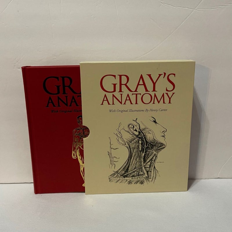 Gray’s Anatomy