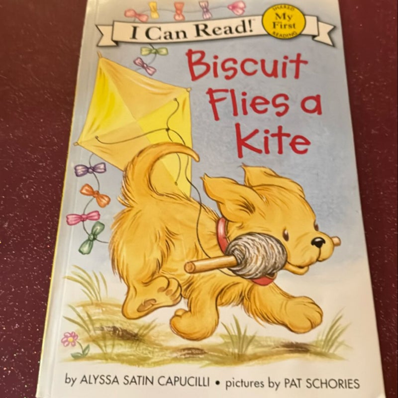 Biscuit Flies a Kite