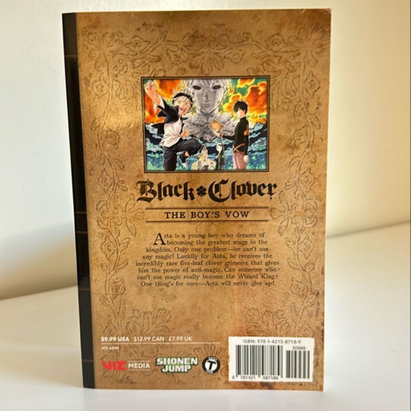 Black Clover, Vol. 1