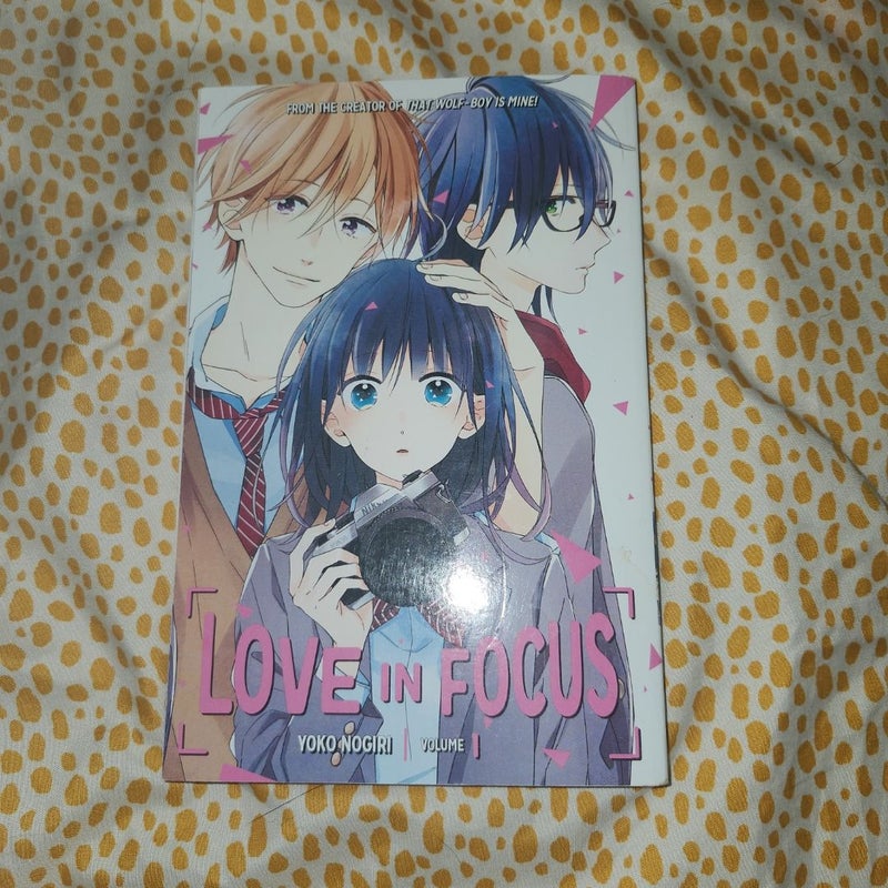 Love in Focus 1