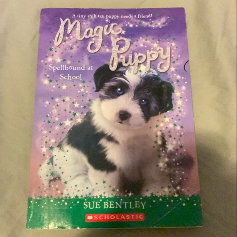 Magic Puppy