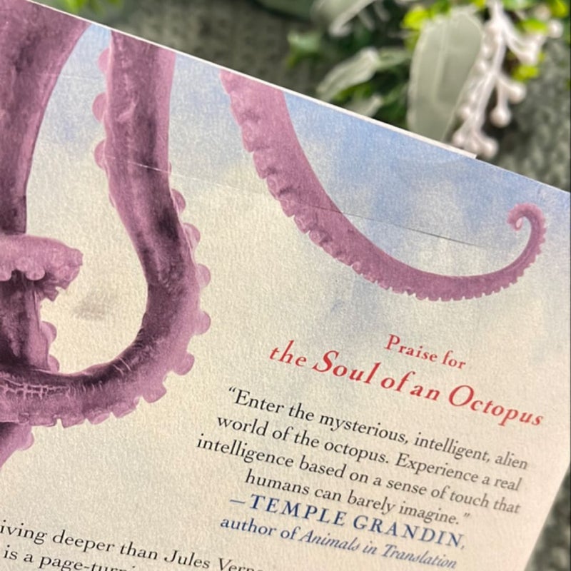 The Soul of an Octopus