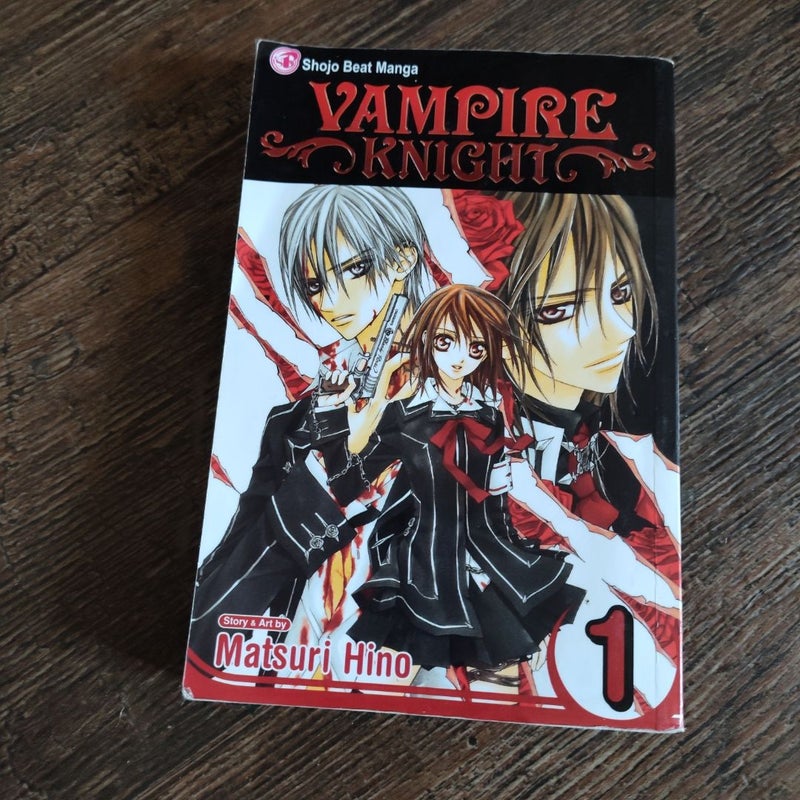 Vampire Knight, Vol. 1