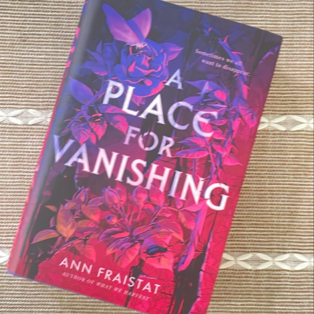 A Place for Vanishing by Ann Fraistat