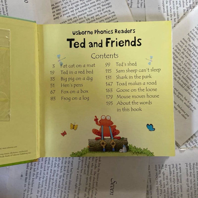 Usborne Phonics Readers Ted and Friends