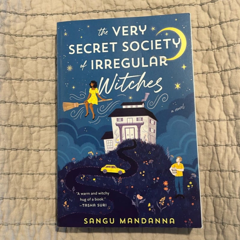 The Very Secret Society of Irregular Witches