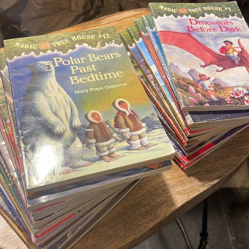 23 books: MAGIC TREE HOUSE series