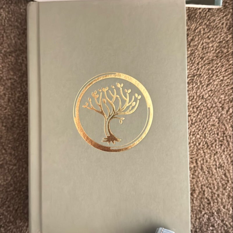 Insurgent
