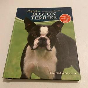 Boston Terrier