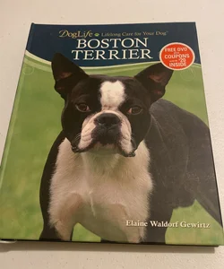 Boston Terrier