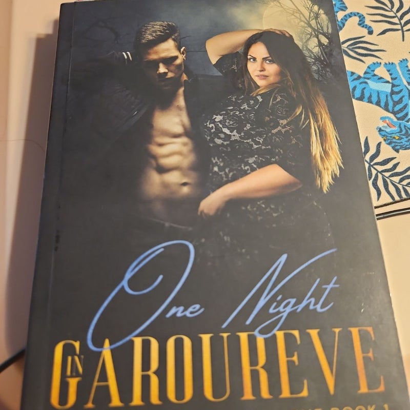 One Night in Garoureve (the Shifters of Garoureve Book 1)