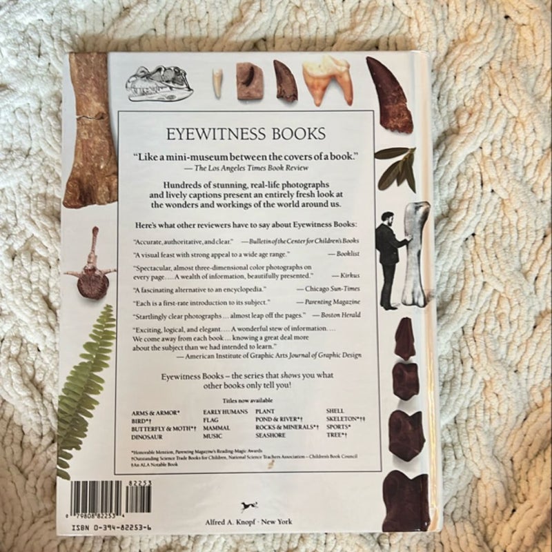 DK Eyewitness Books: Dinosaur