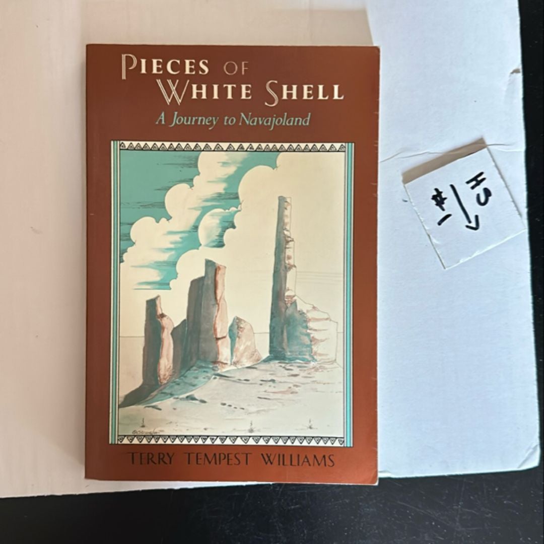 Pieces of White Shell