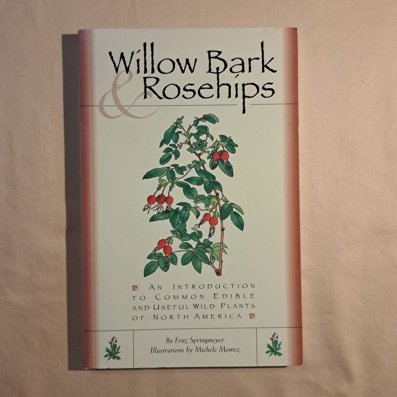 Willow Bark and Rosehips