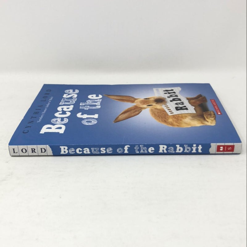 Because of the Rabbit