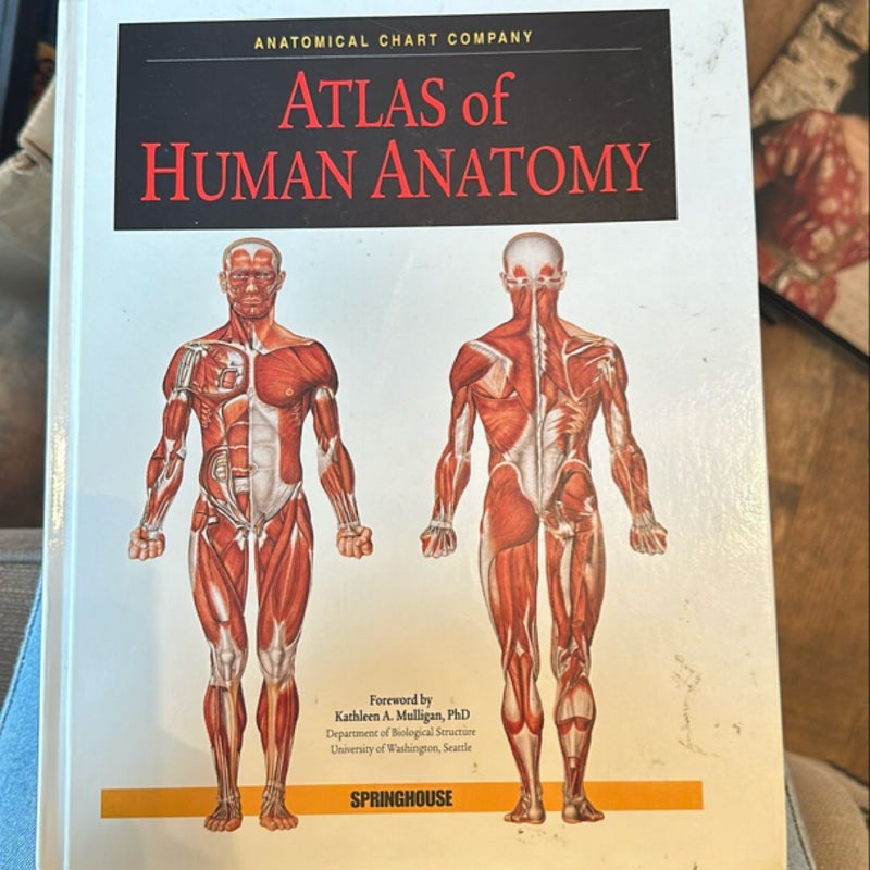 Atlas of Human Anatomy