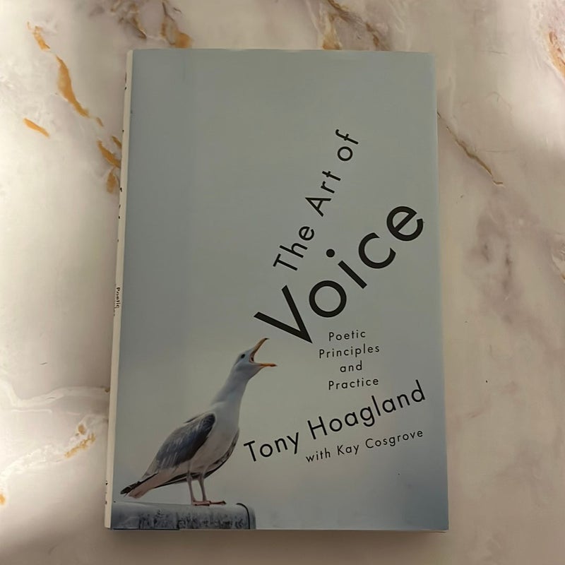 The Art of Voice