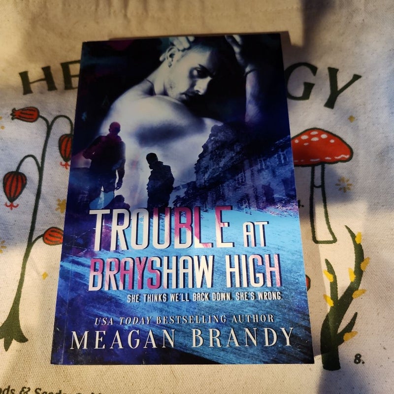 Trouble at Brayshaw High