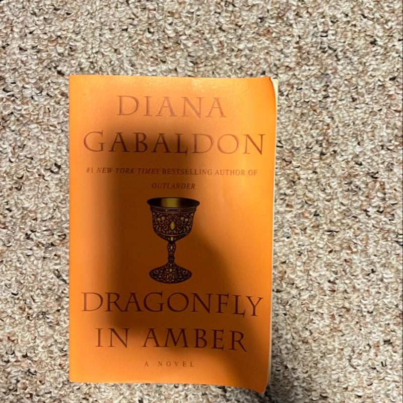 Dragonfly in Amber