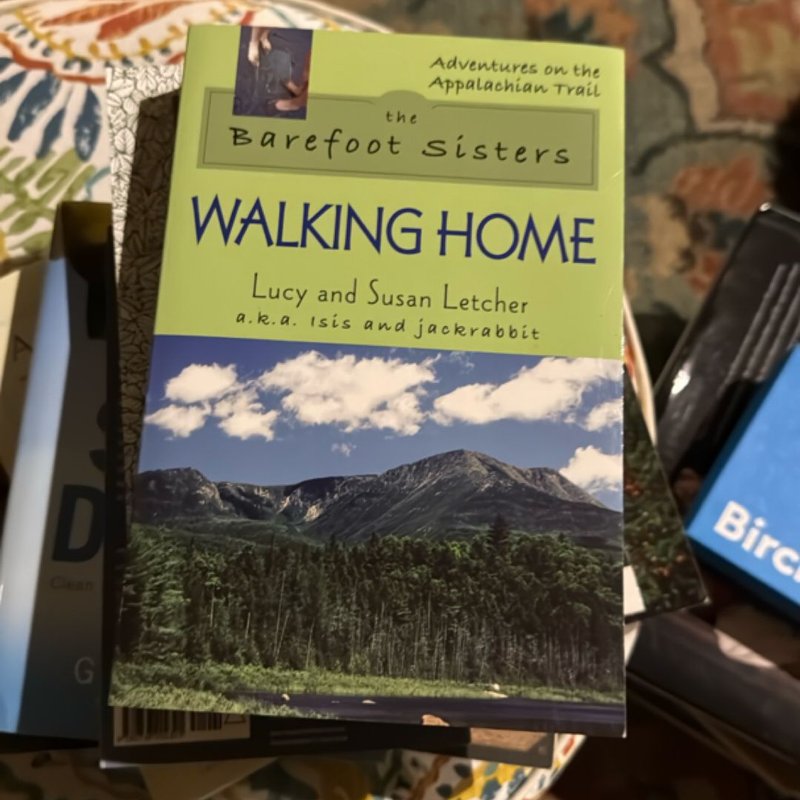 Barefoot Sisters Walking Home by Lucy Letcher, Susan Letcher