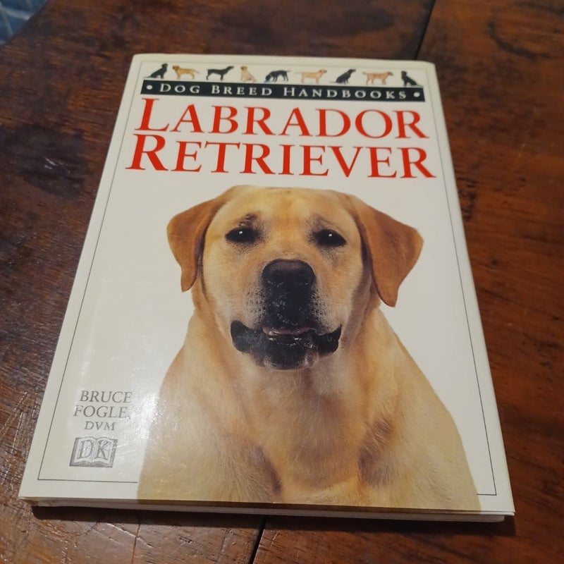 Labrador Retriever