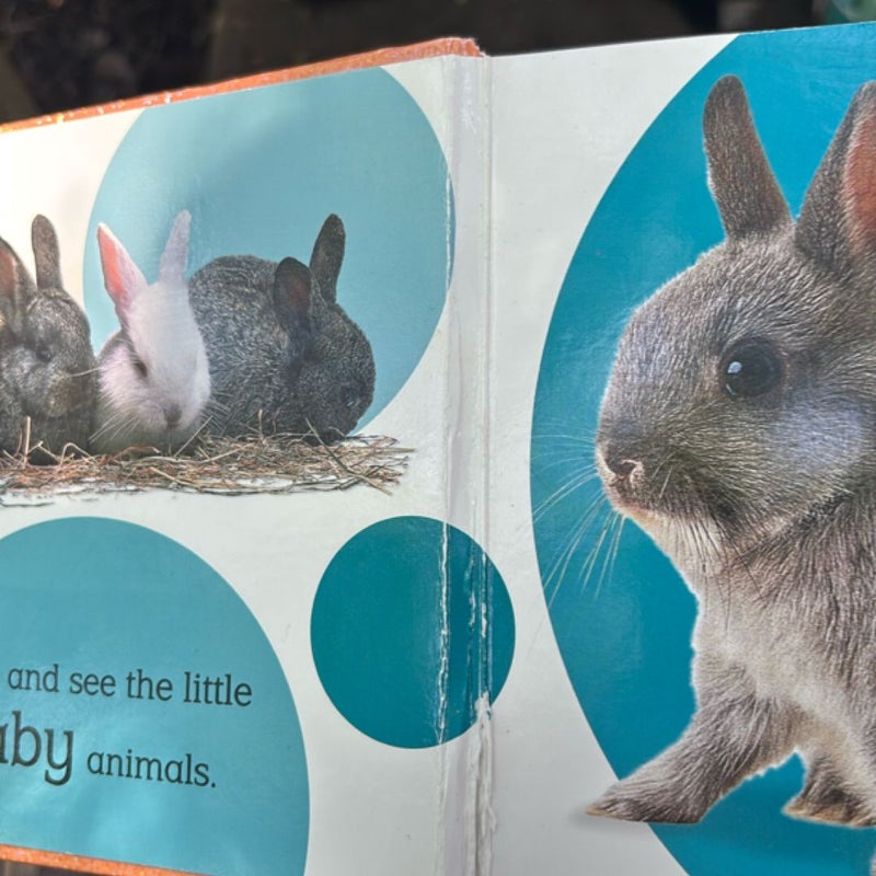 Touch and Feel Baby Animals