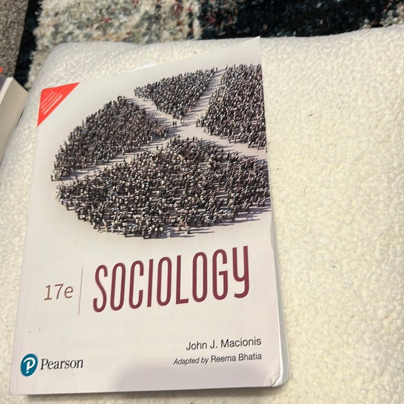 17e Sociology 