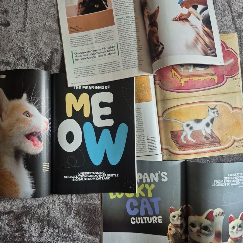 4 Magazines All About Cats