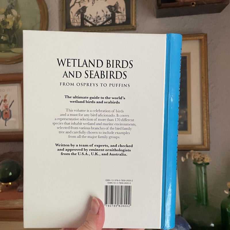 Wetland Birds and Seabirds