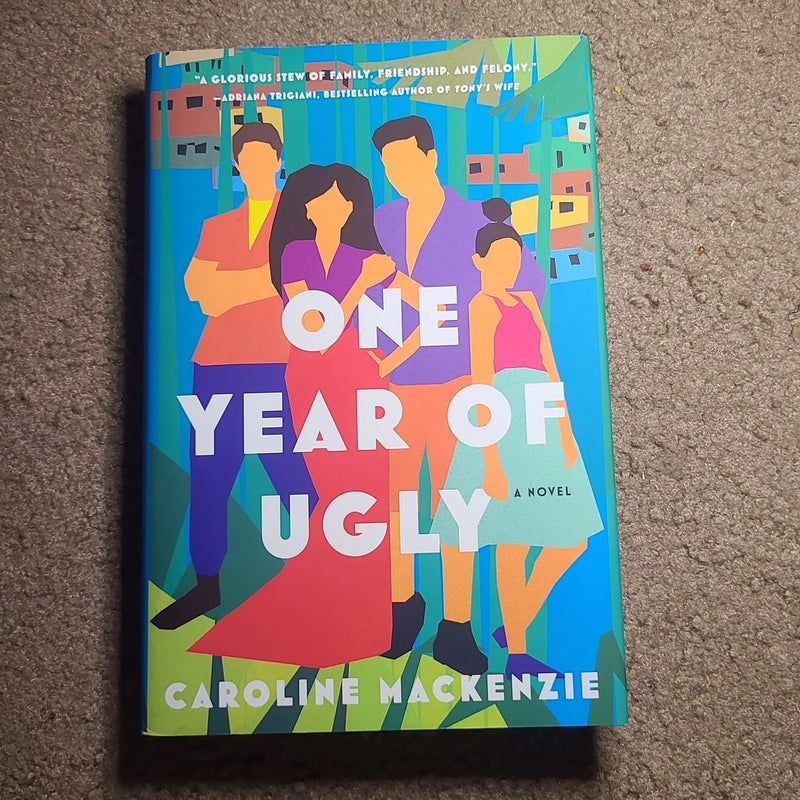 One Year of Ugly