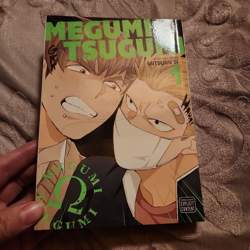 Megumi and Tsugumi, Vol. 1