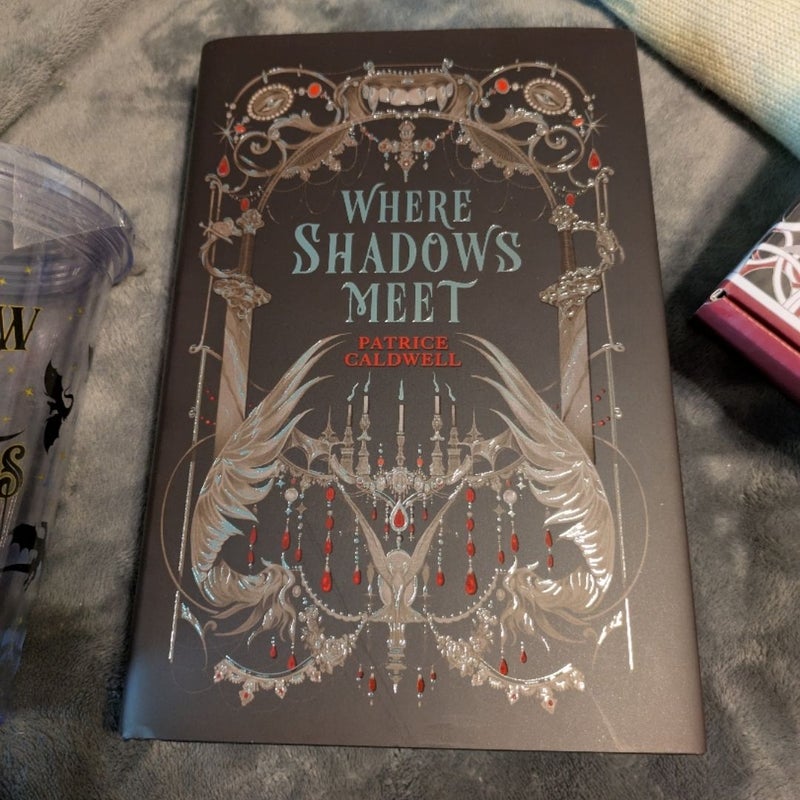 Where Shadows Meet 