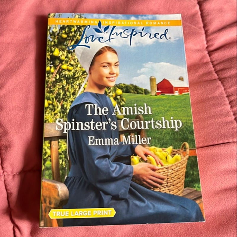 The Amish Spinster’s Courtship