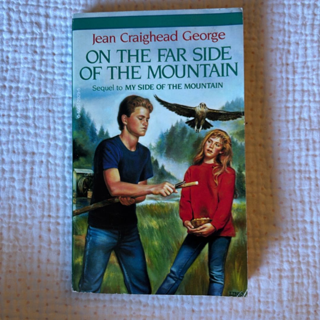 On The Far Side Of The Mountain By Jean Craighead George - Trade Paperback 2001