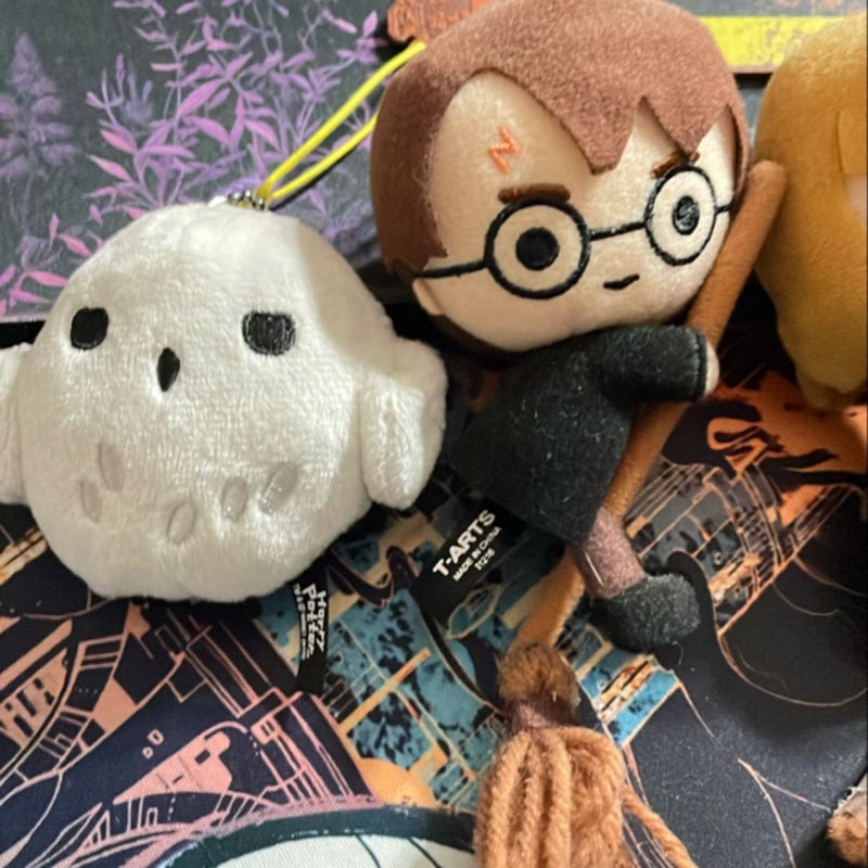 Harry Potter entire set with merch