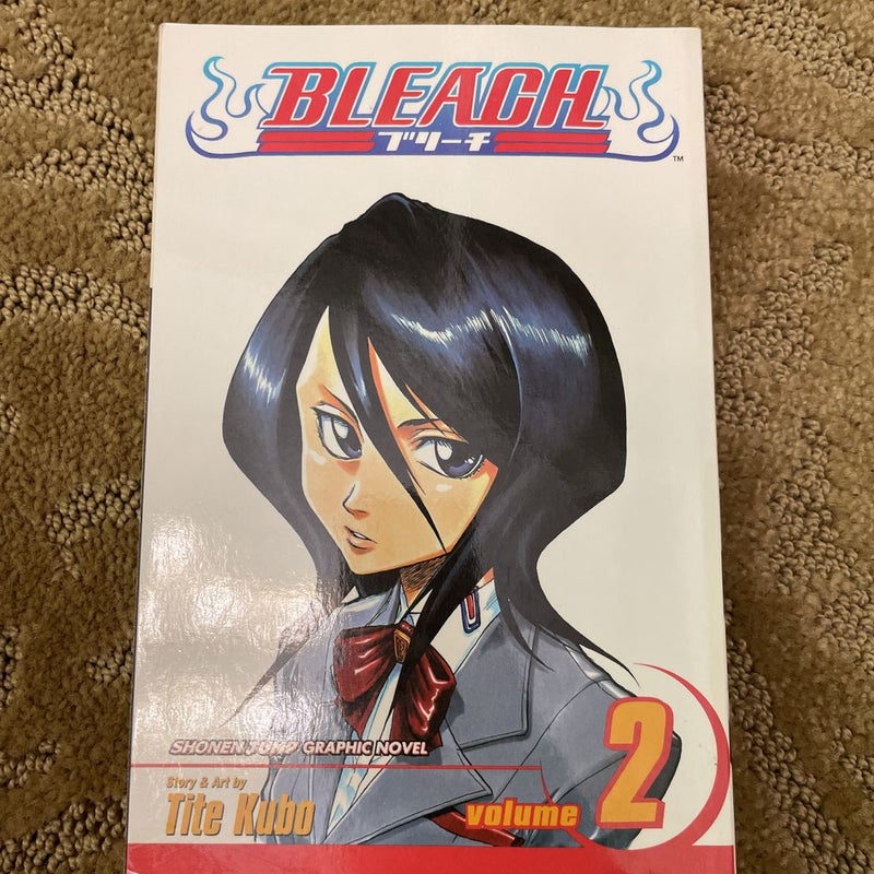 Bleach, Volume 22 by Tite Kubo