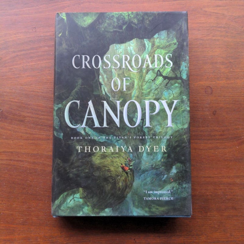 Crossroads of Canopy