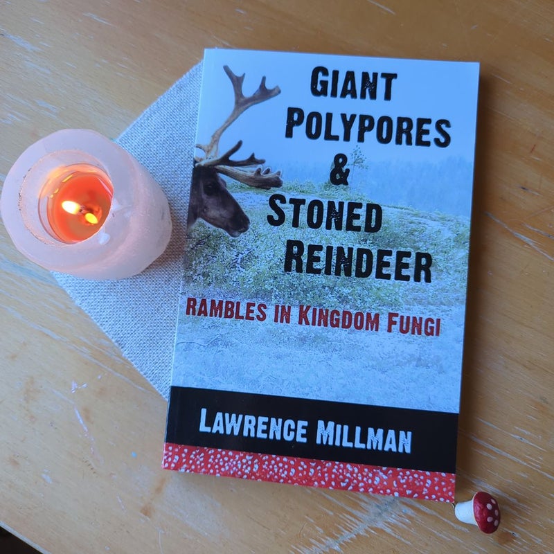 Giant Polypores and Stoned Reindeer