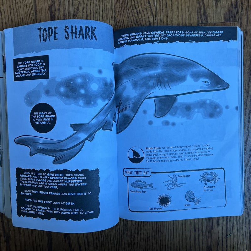 The Awesome Book of Sharks!