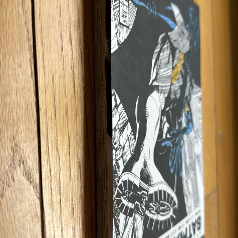 Coloring DC: Batman-Hush Vol. 1 by Jeph Loeb