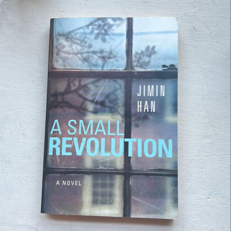 A Small Revolution