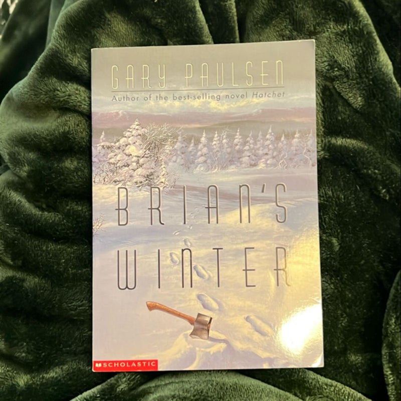 Brian's Winter