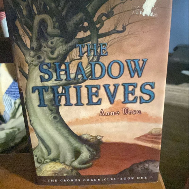 The Shadow Thieves