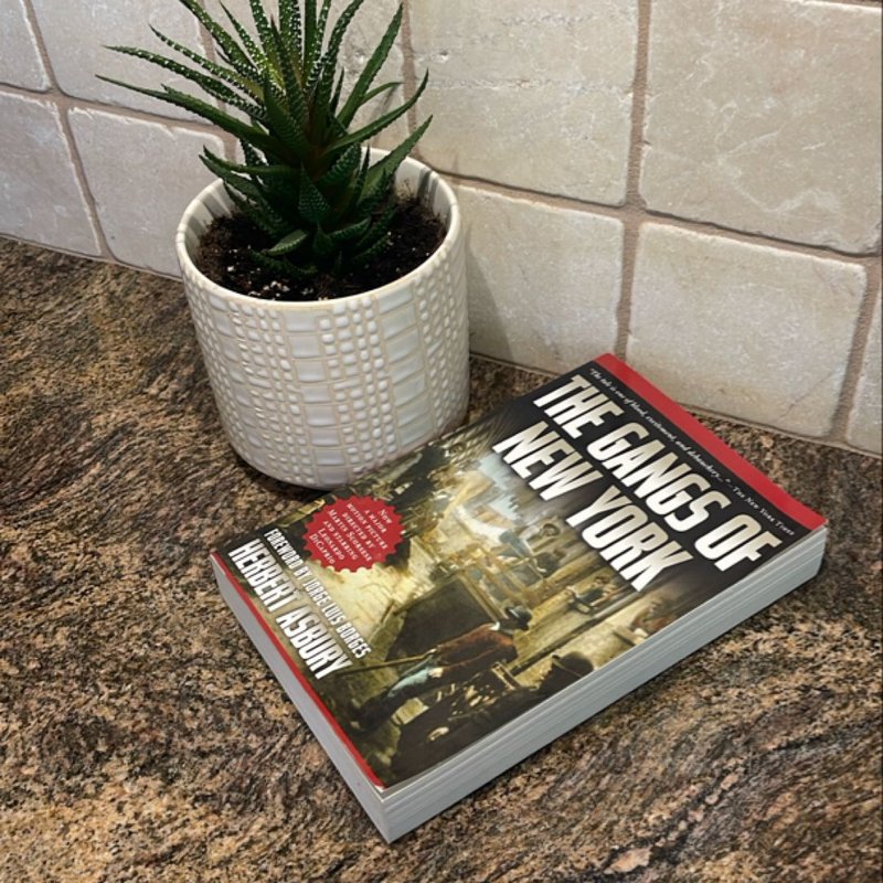 The Gangs of New York