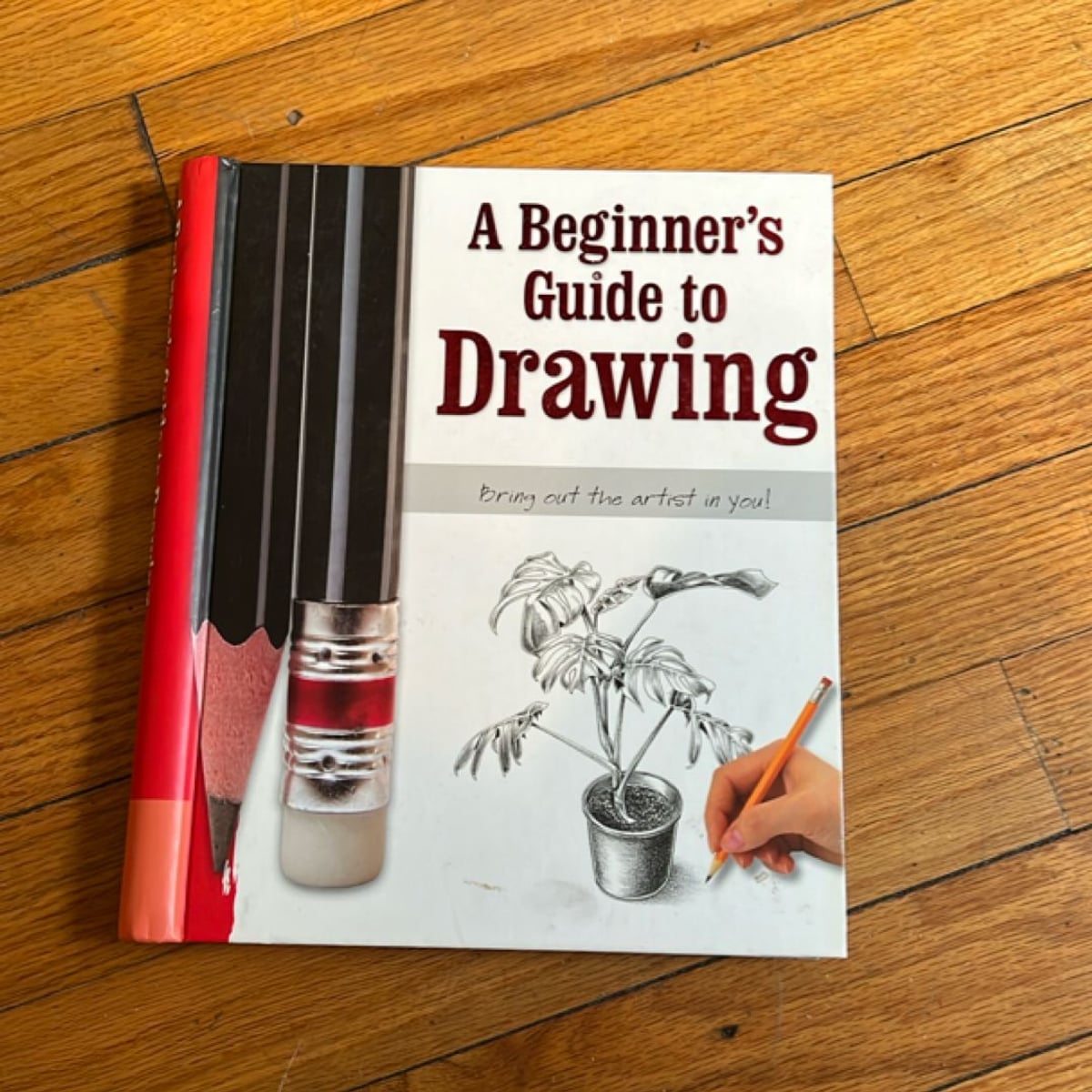 The Beginners Guide to Drawing by