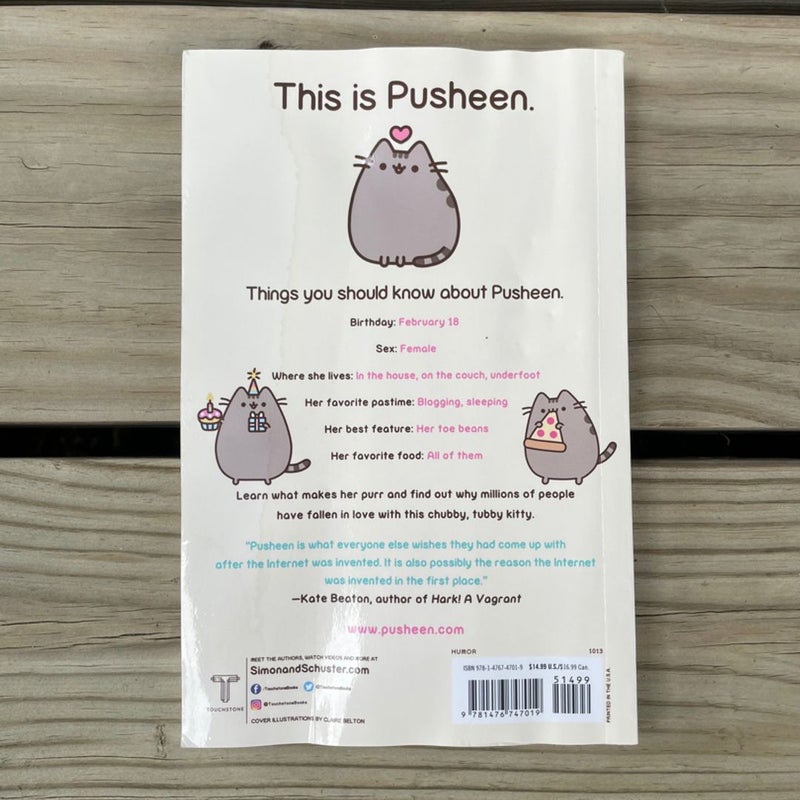 Pusheen The Cat's Guide To Everything - (i Am Pusheen) By Claire