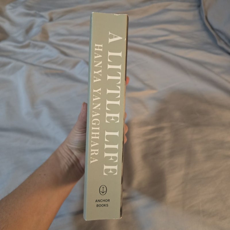 A Little Life