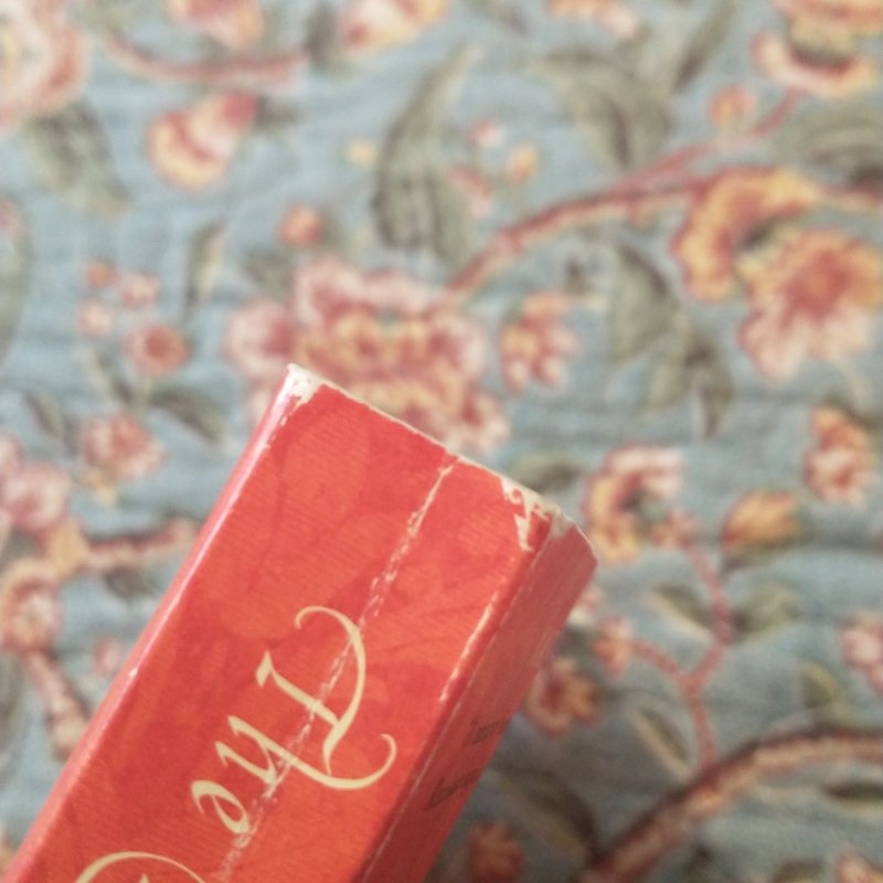 The Enchantress of Florence