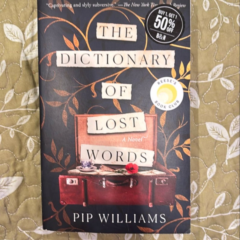 The Dictionary of Lost Words